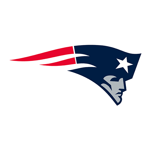 NE team logo watermark